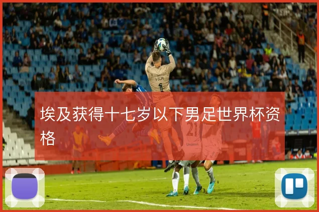 埃及获得十七岁以下男足世界杯资格