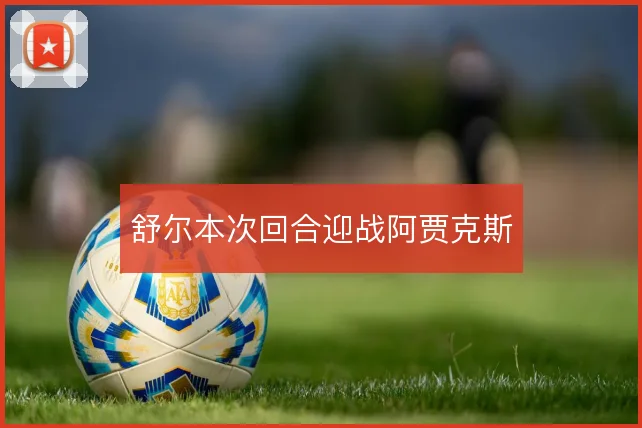 舒尔本次回合迎战阿贾克斯